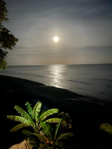 Beach Front House For Sale In Costa Esmeralda Panama - image 46