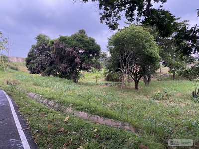 Land For Sale Or Rent In El Higo San Carlos - image 14