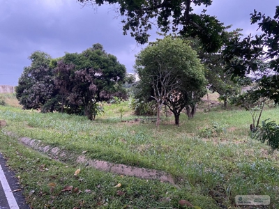 Land For Sale Or Rent In El Higo San Carlos - image 5