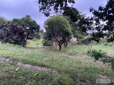 Land For Sale Or Rent In El Higo San Carlos - image 15
