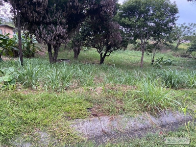 Land For Sale Or Rent In El Higo San Carlos - image 13