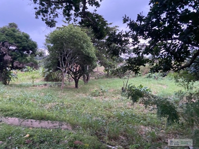 Land For Sale Or Rent In El Higo San Carlos - image 4