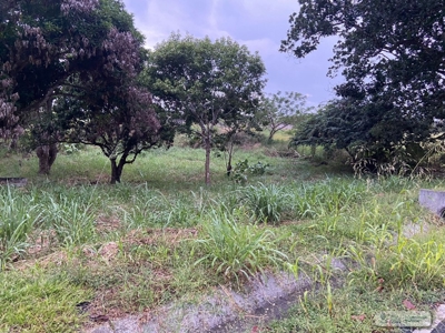 Land For Sale Or Rent In El Higo San Carlos - image 10