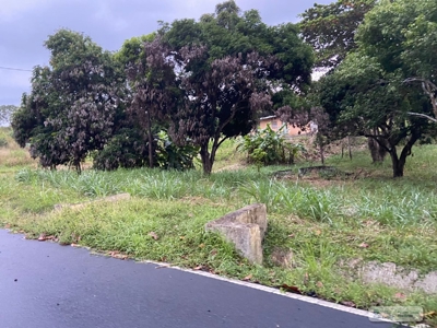Land For Sale Or Rent In El Higo San Carlos - image 12