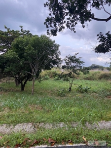 Land For Sale Or Rent In El Higo San Carlos - image 6