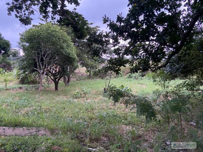 Land For Sale Or Rent In El Higo San Carlos - image 3