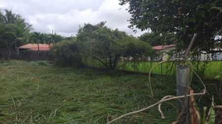 Beach Lot For Sale In Coronado Panama - image 6