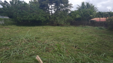 Beach Lot For Sale In Coronado Panama - image 1