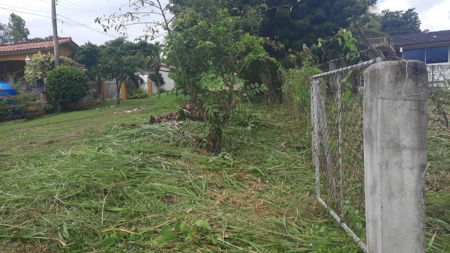 Beach Lot For Sale In Coronado Panama - image 5