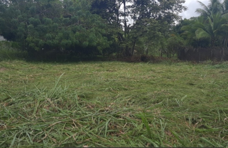 Beach Lot For Sale In Coronado Panama - image 2