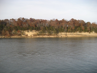 Cabin For Sale Near Fishing Boating On The Tn River - image 27