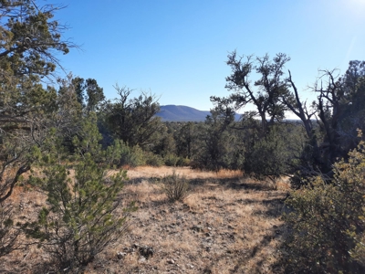 Ultimate Hunting Cabin - image 19