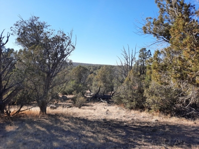 Ultimate Hunting Cabin - image 10