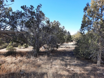 Ultimate Hunting Cabin - image 28
