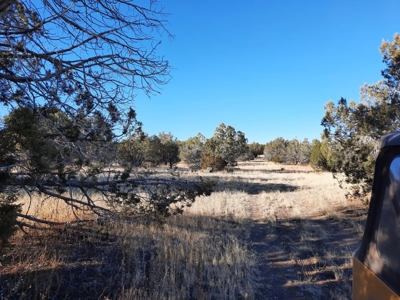 Ultimate Hunting Cabin - image 12