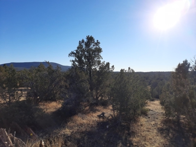 Ultimate Hunting Cabin - image 24