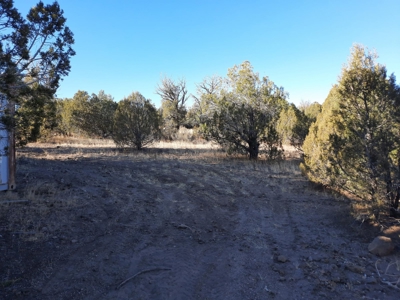 Ultimate Hunting Cabin - image 23