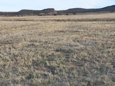 2 Brothers 2 Lots1 Price Northern, CA Rural Acreage - image 3