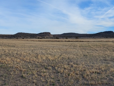 2 Brothers 2 Lots1 Price Northern, CA Rural Acreage - image 2