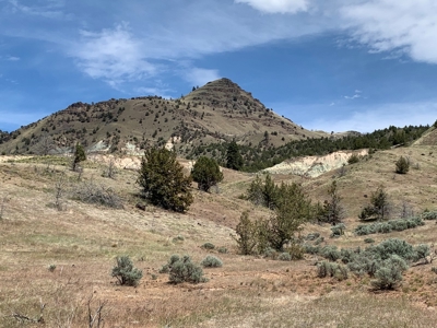 Eastern Oregon Big Basin Ranch - image 36