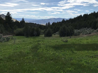 Eastern Oregon Big Basin Ranch - image 3