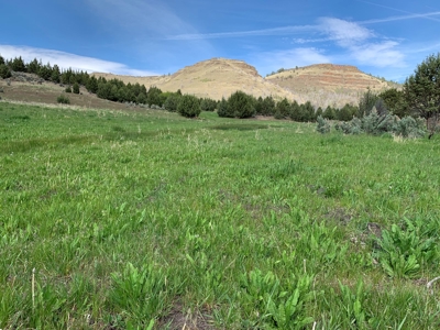 Eastern Oregon Big Basin Ranch - image 4