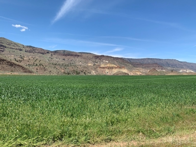 Eastern Oregon Big Basin Ranch - image 15