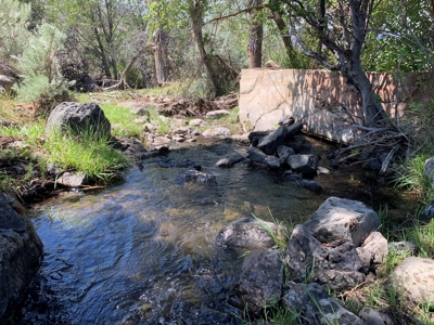 Eastern Oregon Big Basin Ranch - image 18