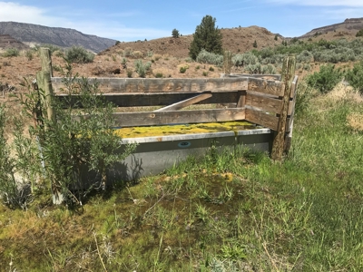 Eastern Oregon Big Basin Ranch - image 17