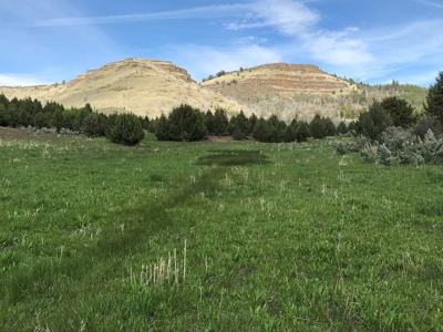 Eastern Oregon Big Basin Ranch - image 2