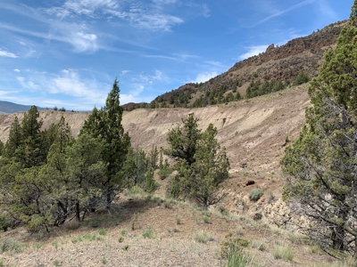 Eastern Oregon Big Basin Ranch - image 37