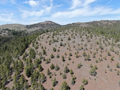 Eastern Oregon Big Basin Ranch - image 33