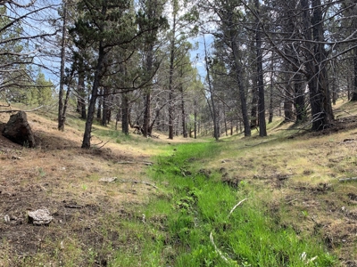 Eastern Oregon Big Basin Ranch - image 38