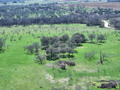 Central Texas Cattle Ranch with Abundant Wildlife Habitat - image 3