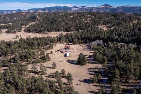 Central Colorado, Teller & Park County Log Cabin for sale - image 37