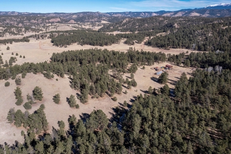 Central Colorado, Teller & Park County Log Cabin for sale - image 39