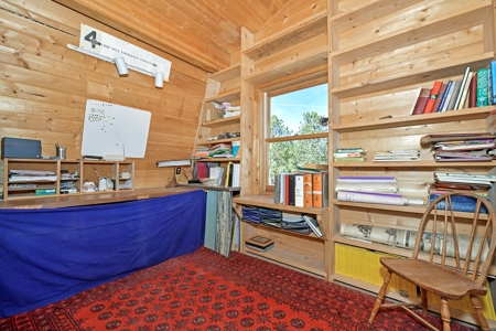 Central Colorado, Teller & Park County Log Cabin for sale - image 15