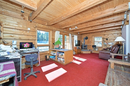 Central Colorado, Teller & Park County Log Cabin for sale - image 24