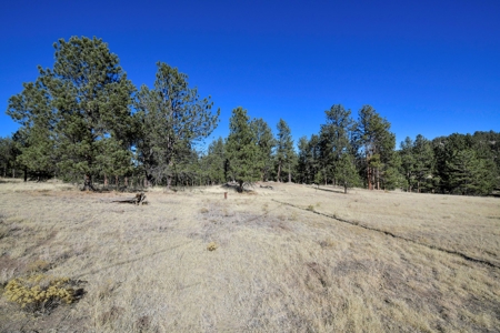 Central Colorado, Teller & Park County Log Cabin for sale - image 31