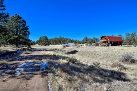 Central Colorado, Teller & Park County Log Cabin for sale - image 3