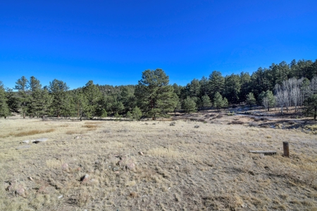 Central Colorado, Teller & Park County Log Cabin for sale - image 13
