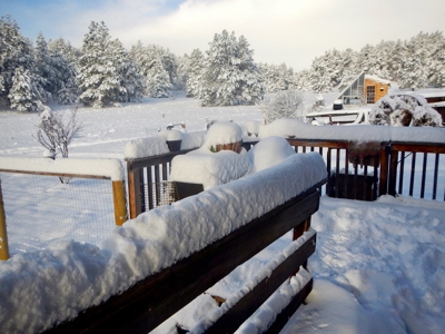 Central Colorado, Teller & Park County Log Cabin for sale - image 42
