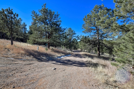 Central Colorado, Teller & Park County Log Cabin for sale - image 2