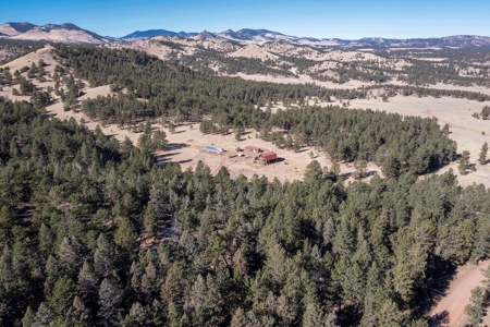 Central Colorado, Teller & Park County Log Cabin for sale - image 34