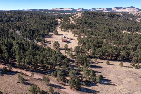 Central Colorado, Teller & Park County Log Cabin for sale - image 32