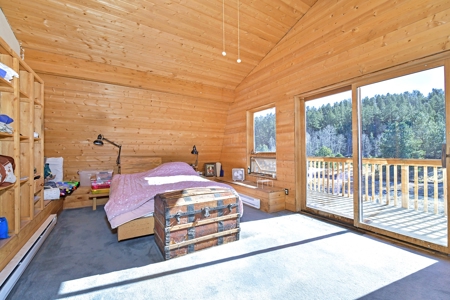 Central Colorado, Teller & Park County Log Cabin for sale - image 19