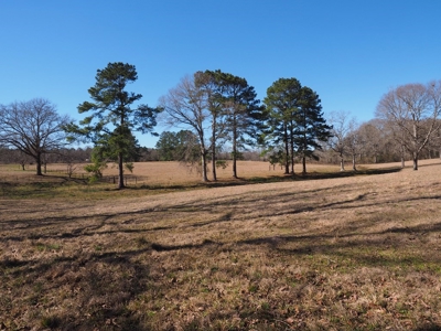 53 Acres Pastureland with Ponds for Sale SW MS - image 24