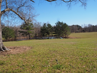 53 Acres Pastureland with Ponds for Sale SW MS - image 3