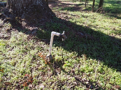 53 Acres Pastureland with Ponds for Sale SW MS - image 6