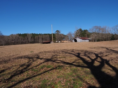 53 Acres Pastureland with Ponds for Sale SW MS - image 36